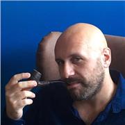 Insegnante di storia e controstoria